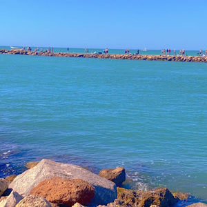 Meet your Posher, Alexandra